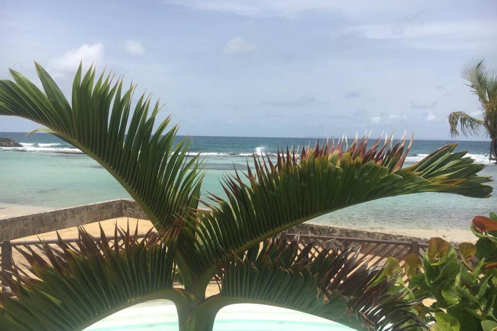 Superbe studio supérieur neuf avec balcon Saint-Francois (Grande-Terre) Extérieur photo